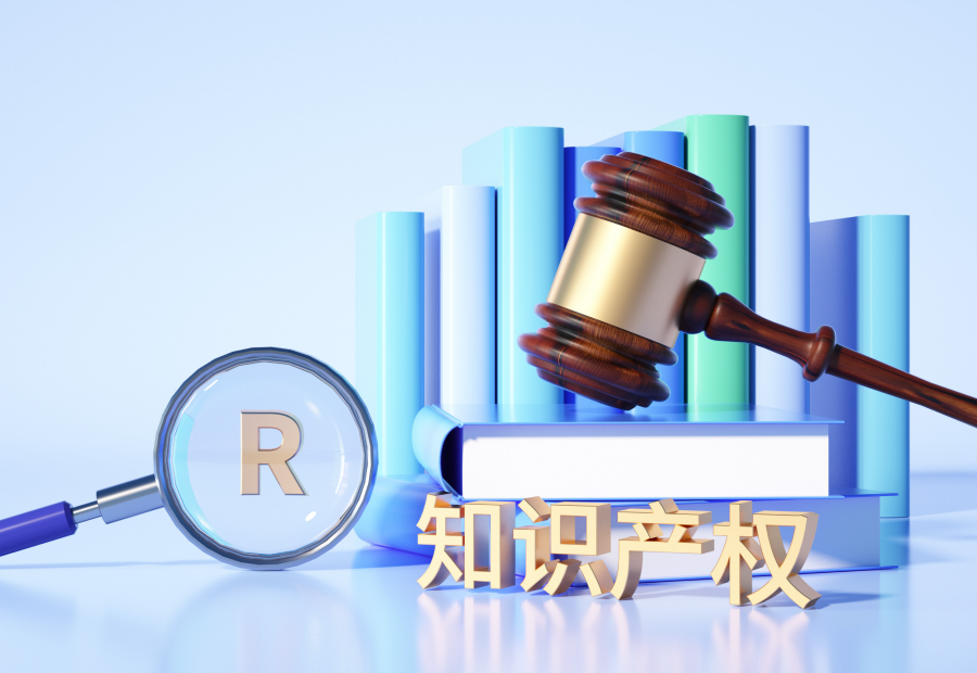行业知产布局示意图